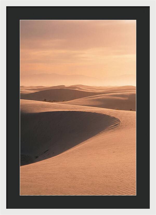 Dunes Bathed In Warm Light