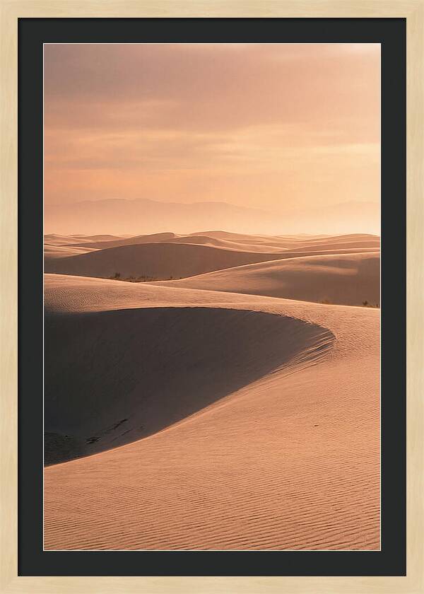 Dunes Bathed In Warm Light