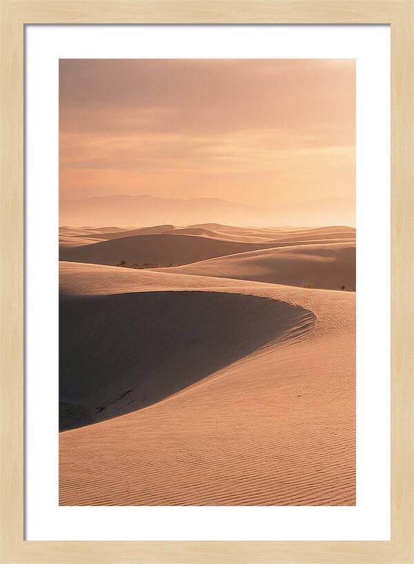 Dunes Bathed In Warm Light
