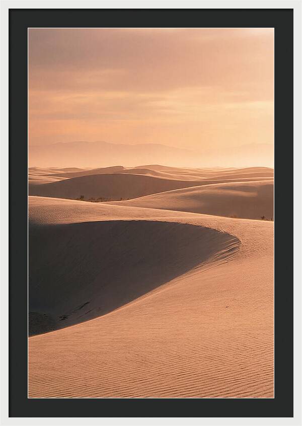 Dunes Bathed In Warm Light