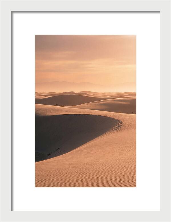 Dunes Bathed In Warm Light