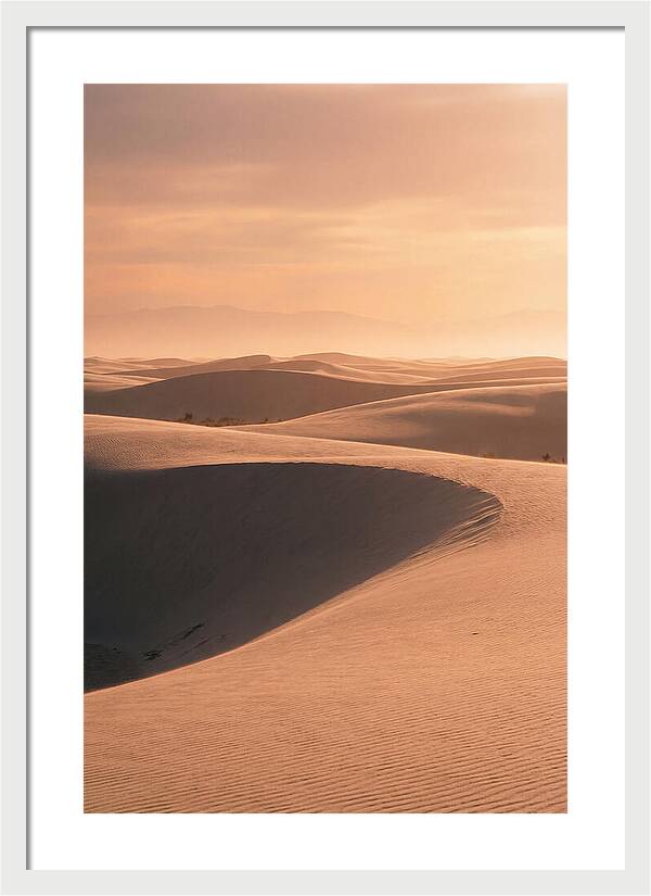 Dunes Bathed In Warm Light