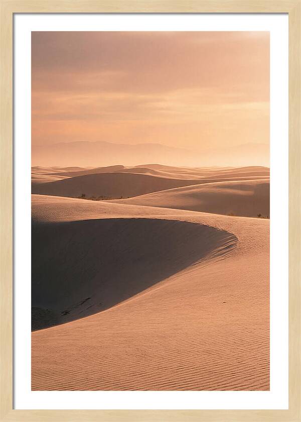 Dunes Bathed In Warm Light