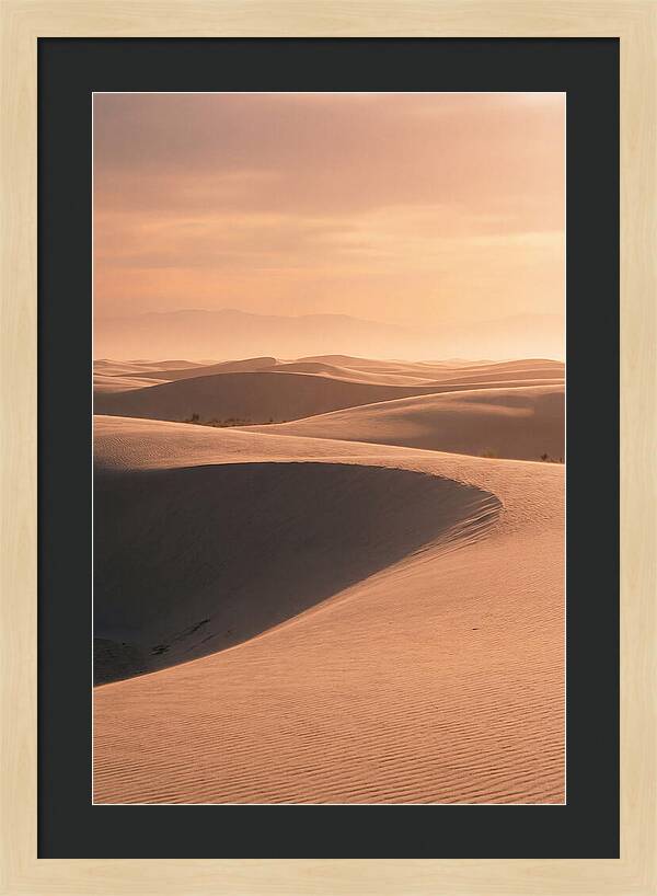 Dunes Bathed In Warm Light