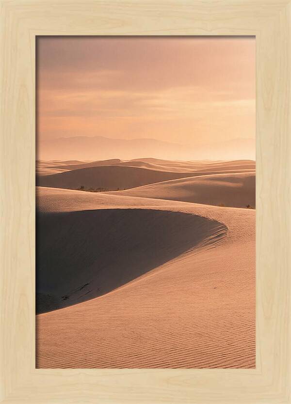 Dunes Bathed In Warm Light