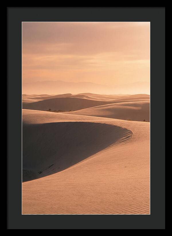 Dunes Bathed In Warm Light