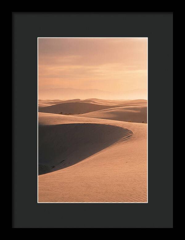 Dunes Bathed In Warm Light