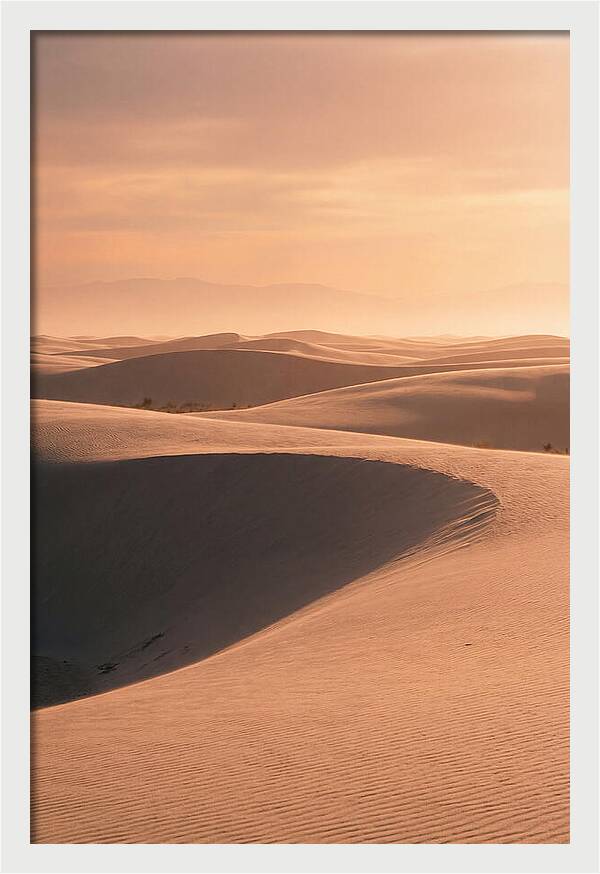 Dunes Bathed In Warm Light