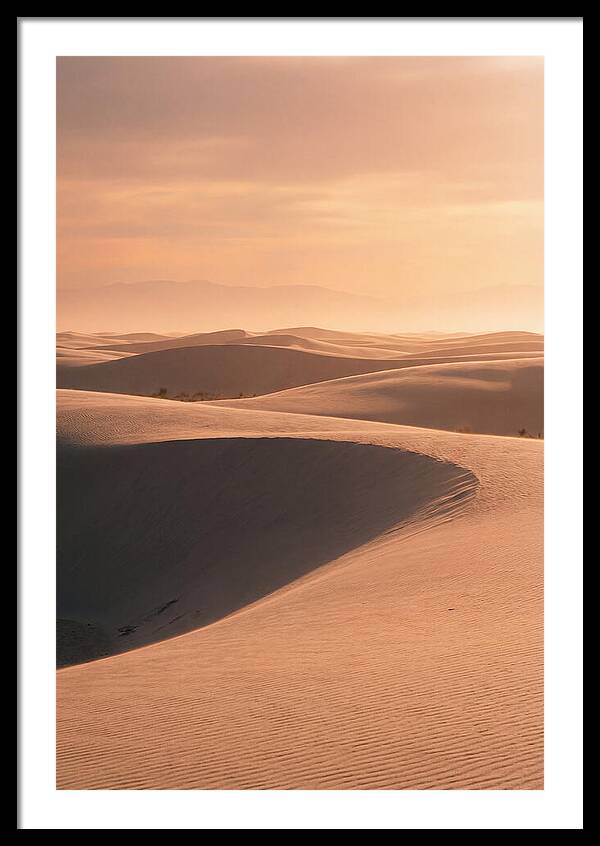 Dunes Bathed In Warm Light