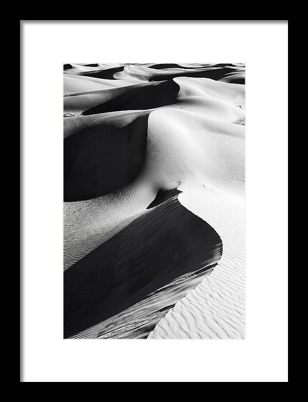 Dunes In Monochrome Harmony