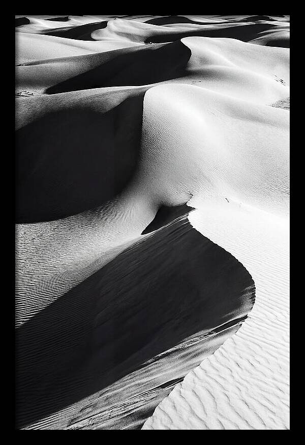 Dunes In Monochrome Harmony