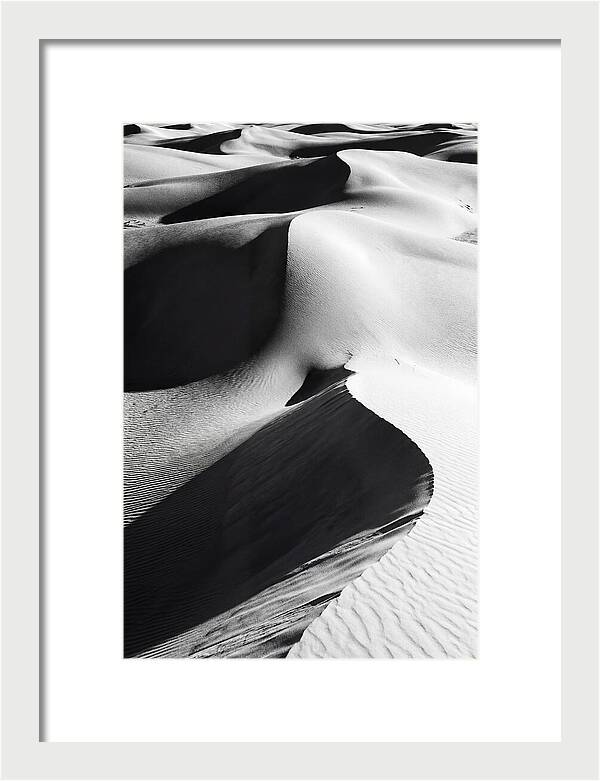 Dunes In Monochrome Harmony