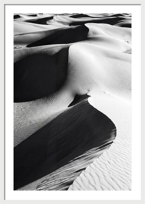 Dunes In Monochrome Harmony