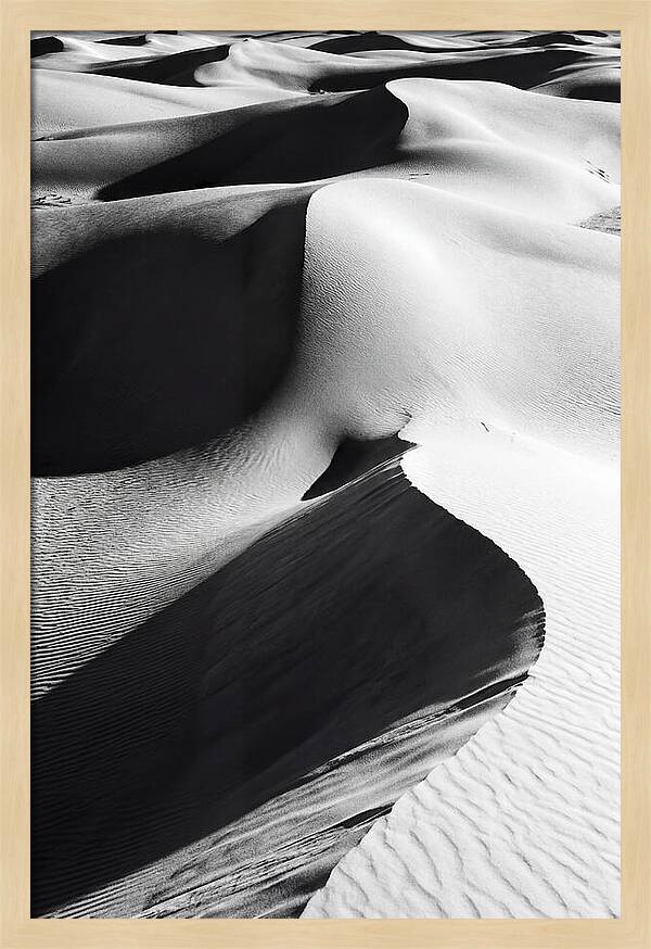 Dunes In Monochrome Harmony