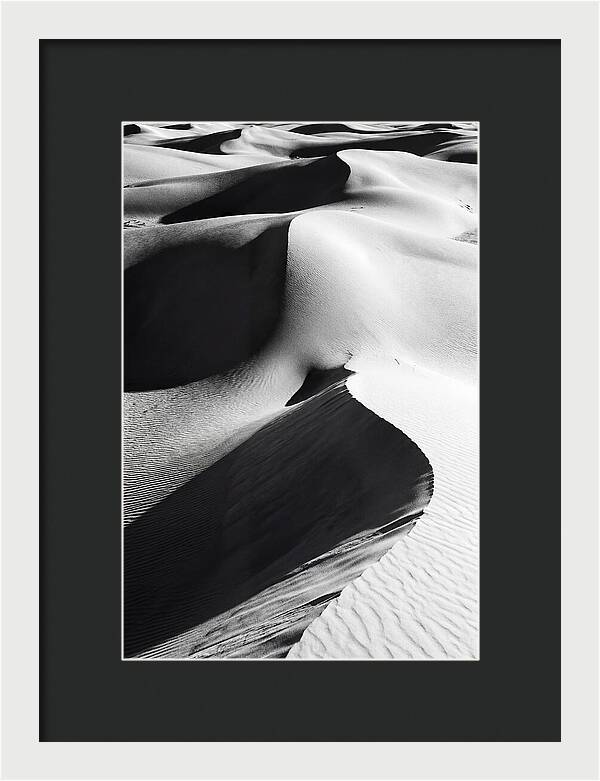 Dunes In Monochrome Harmony