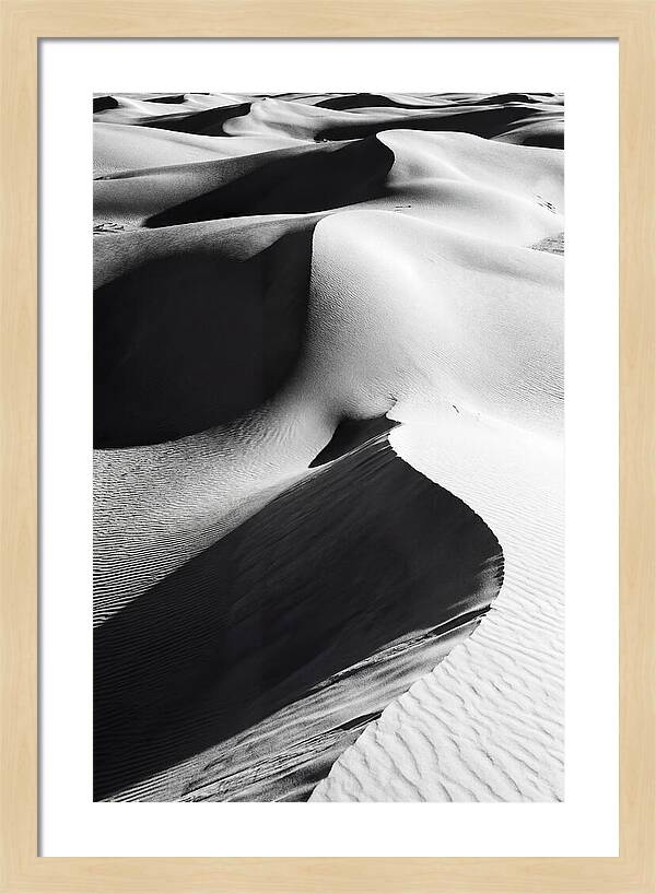 Dunes In Monochrome Harmony