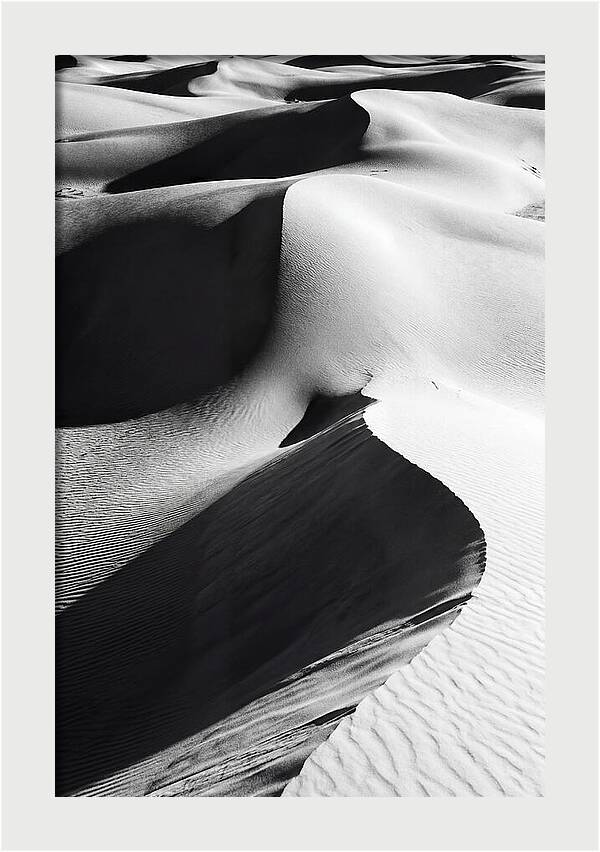 Dunes In Monochrome Harmony