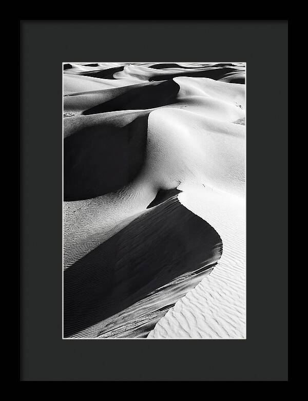 Dunes In Monochrome Harmony