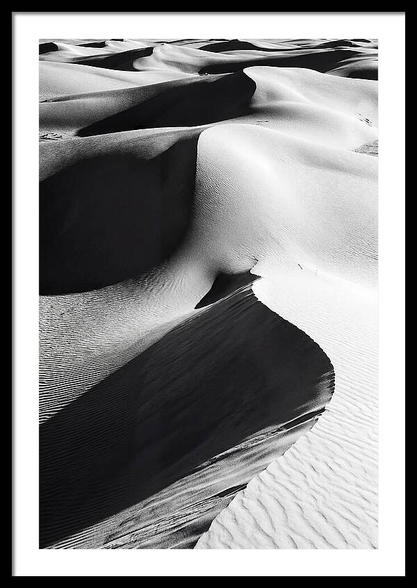 Dunes In Monochrome Harmony