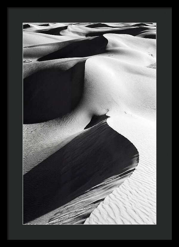 Dunes In Monochrome Harmony
