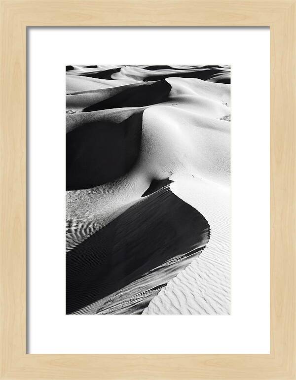 Dunes In Monochrome Harmony