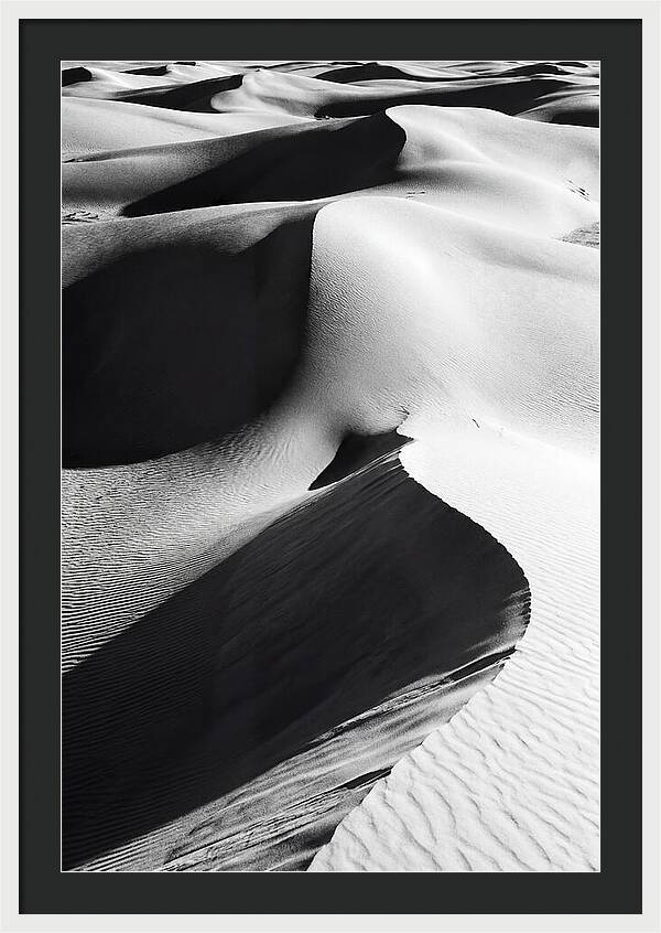 Dunes In Monochrome Harmony
