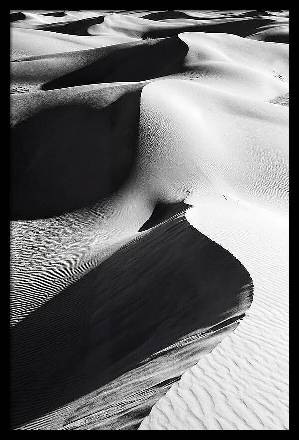 Dunes In Monochrome Harmony
