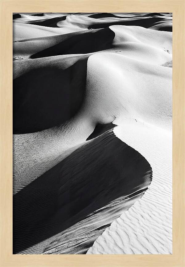 Dunes In Monochrome Harmony