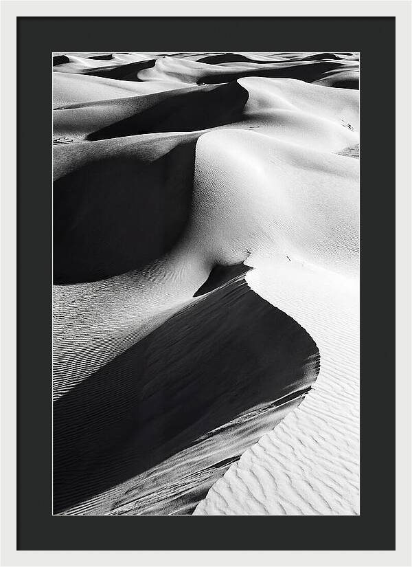 Dunes In Monochrome Harmony