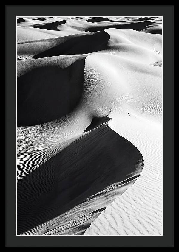 Dunes In Monochrome Harmony