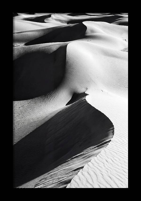 Dunes In Monochrome Harmony