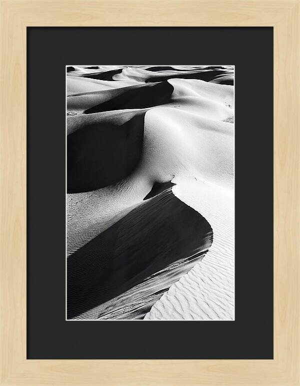 Dunes In Monochrome Harmony
