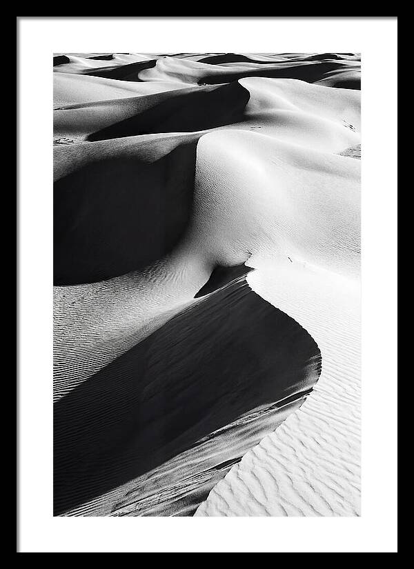 Dunes In Monochrome Harmony