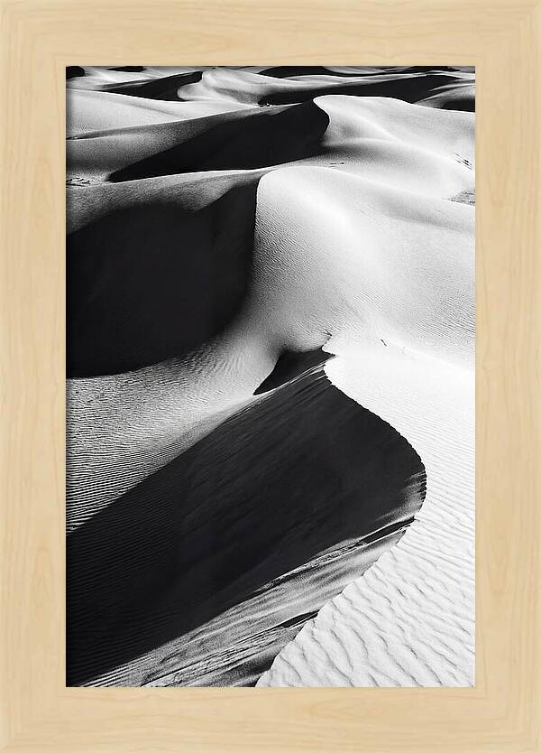 Dunes In Monochrome Harmony