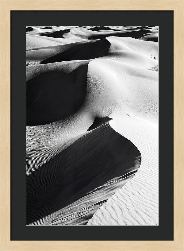 Dunes In Monochrome Harmony