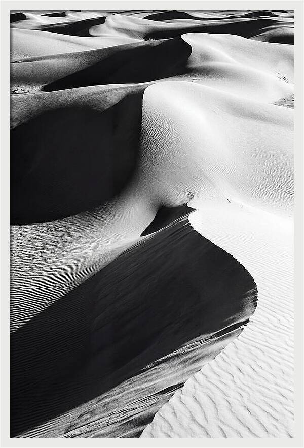 Dunes In Monochrome Harmony