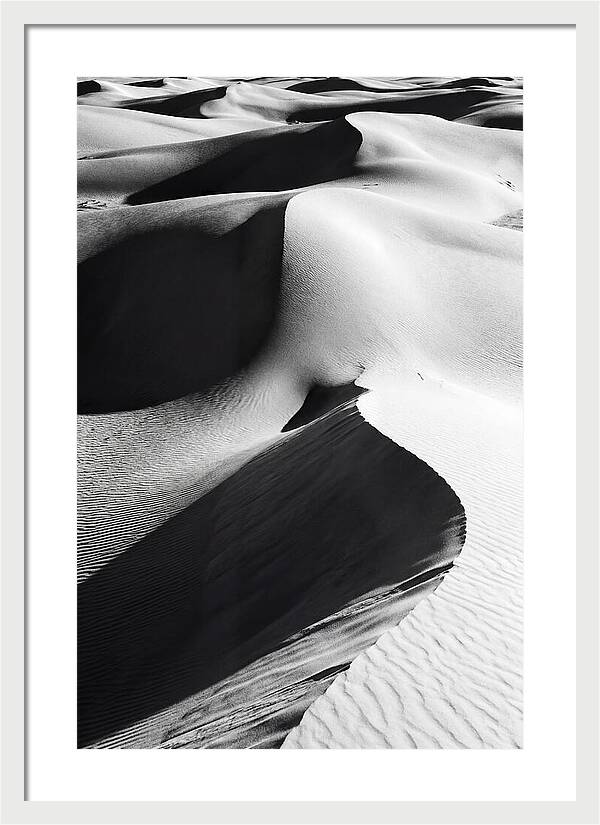 Dunes In Monochrome Harmony