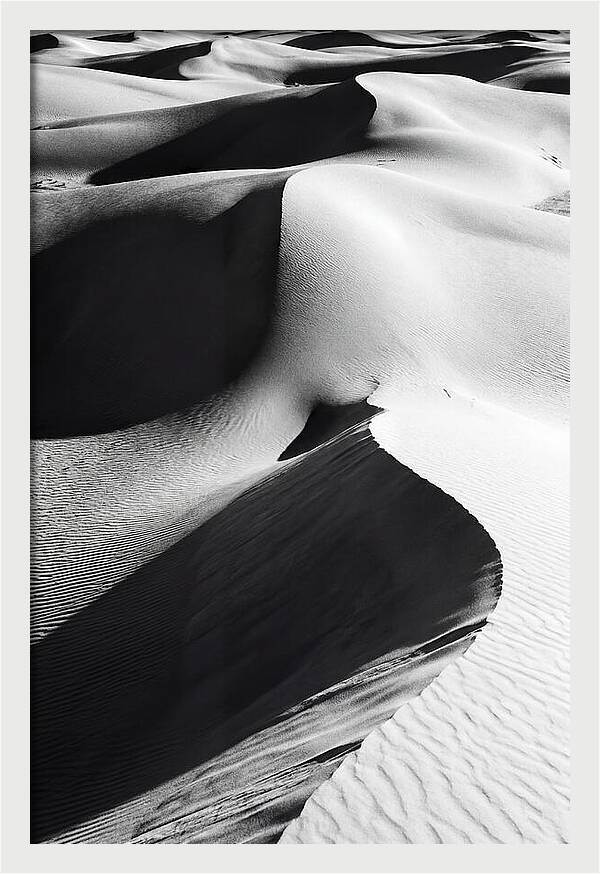 Dunes In Monochrome Harmony