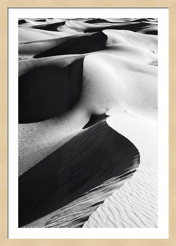 Dunes In Monochrome Harmony