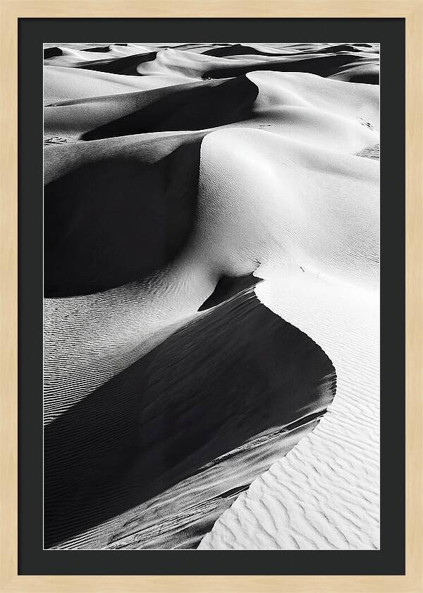 Dunes In Monochrome Harmony