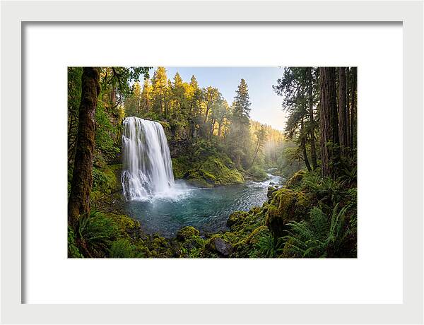 Dunn Falls Serenity