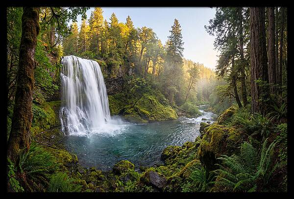 Dunn Falls Serenity