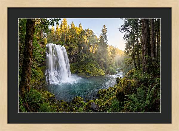Dunn Falls Serenity
