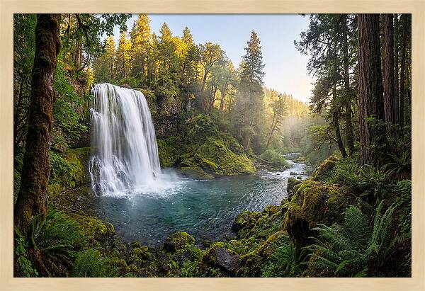 Dunn Falls Serenity