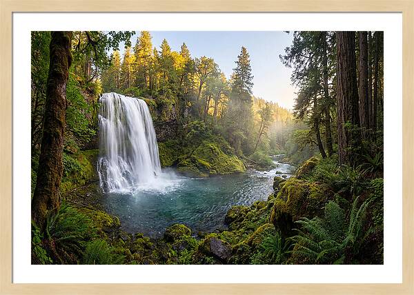 Dunn Falls Serenity