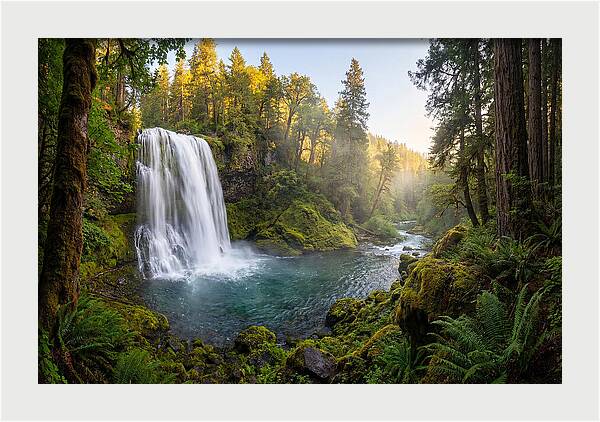 Dunn Falls Serenity