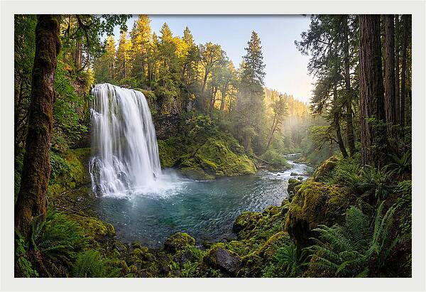 Dunn Falls Serenity