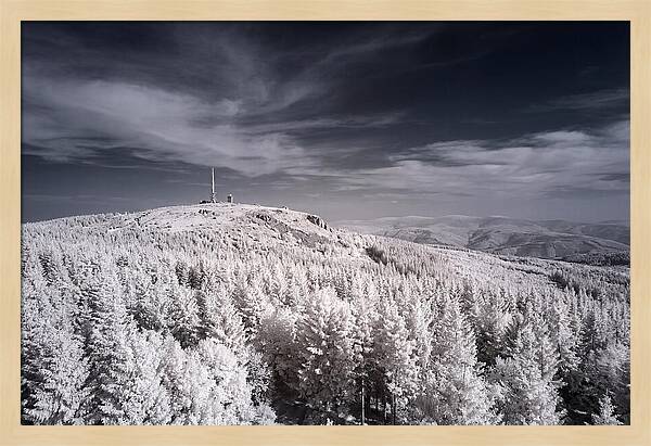 Dusk Embrace Of Brocken Mountain