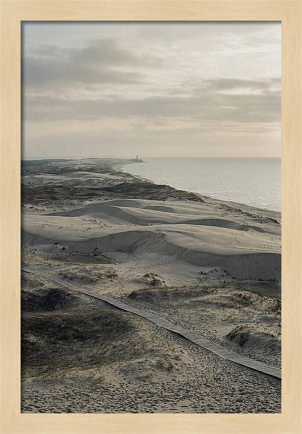 Dusk Over Curonian Spit Dunes