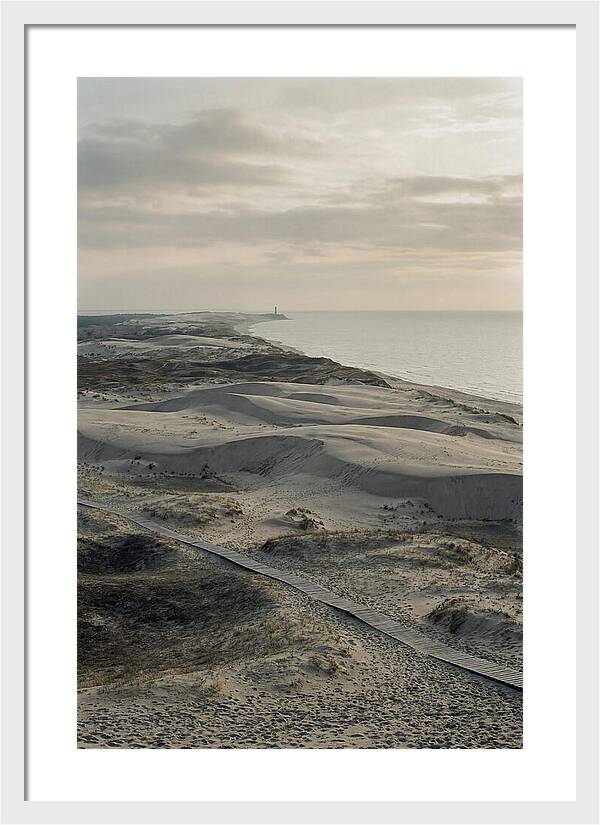 Dusk Over Curonian Spit Dunes